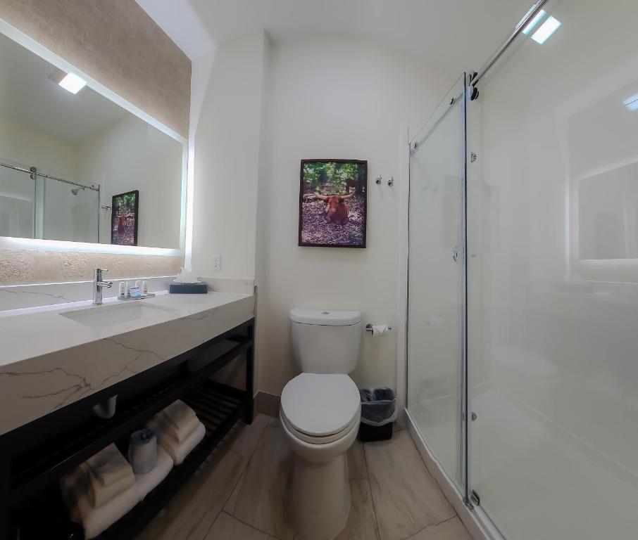 La Quinta by Wyndham Dallas Mesquite - Camera King