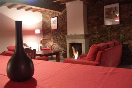 a living room with a fireplace and a vase on a table at Casa da Fonte de Travanca in Travanca