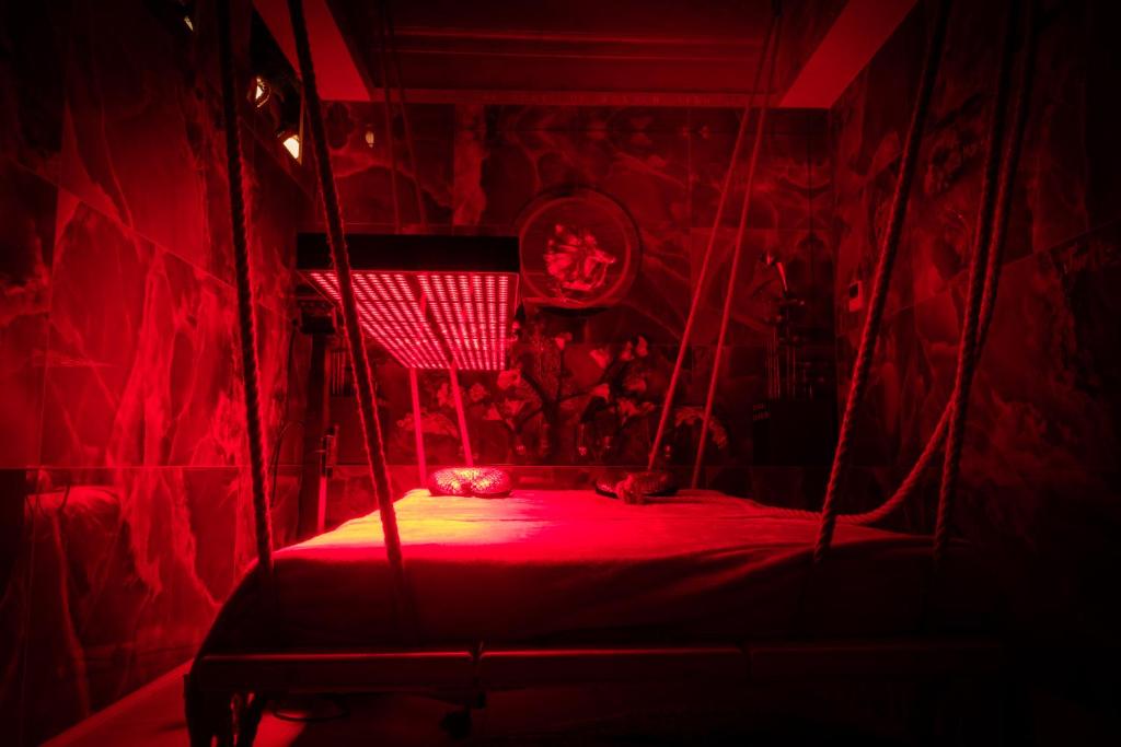 PREMIUM Business Hotel Bratislava - Resim 43