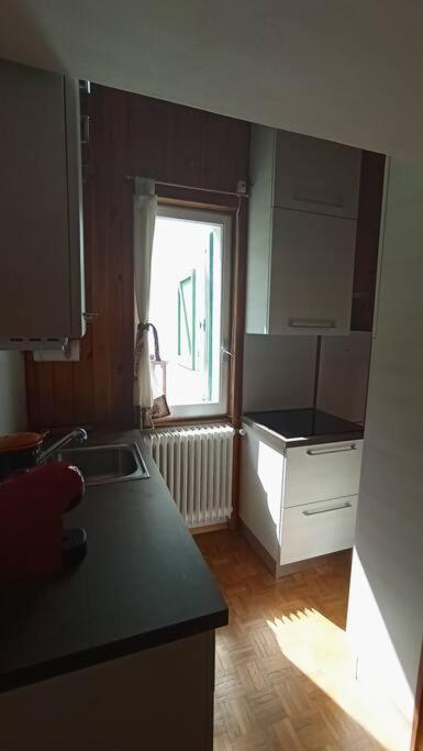 Fotografie z fotogalerie ubytování Zam hus, monolocale walser v destinaci Macugnaga
