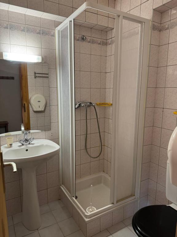 Koupelna v ubytování L'Ardesia