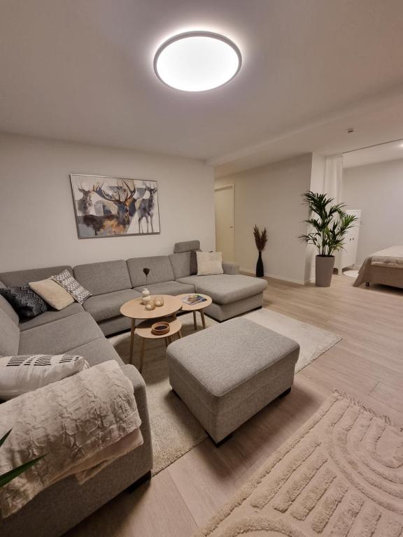 Posezení v ubytování New renovated apartment near the airport with 3 double beds