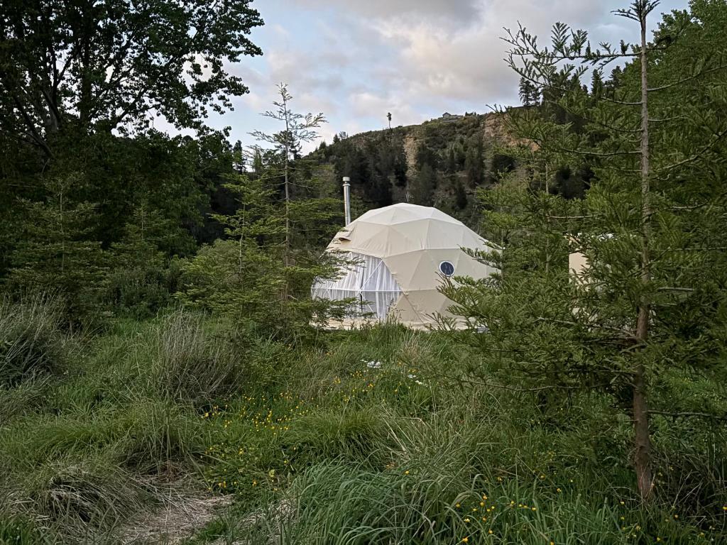 Příroda nedaleko luxury tent