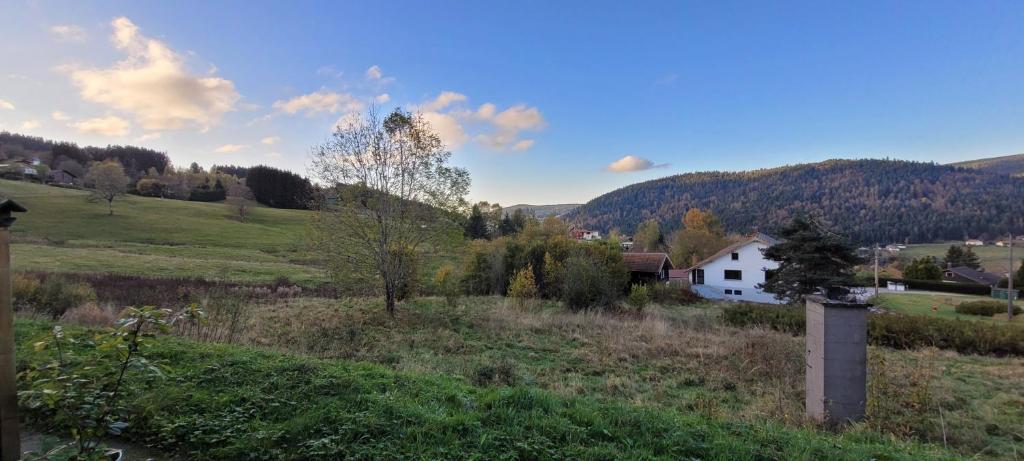 Příroda nedaleko apartmánu