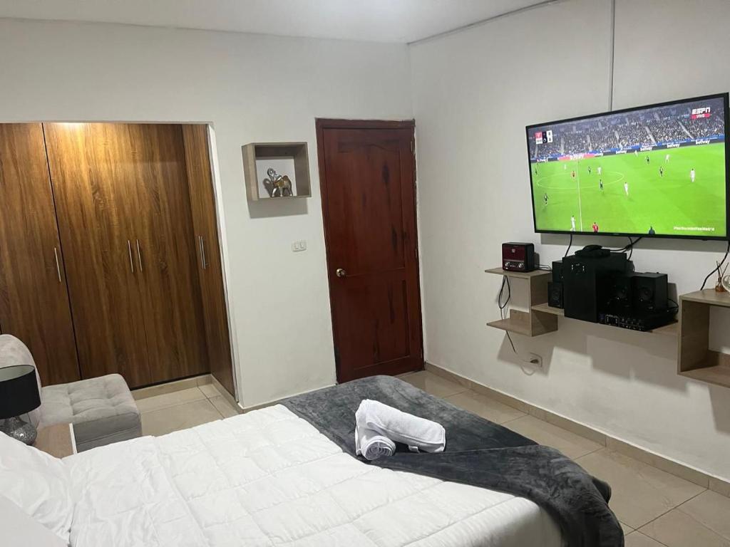 Een TV en/of entertainmentcenter bij Hostal los profes
