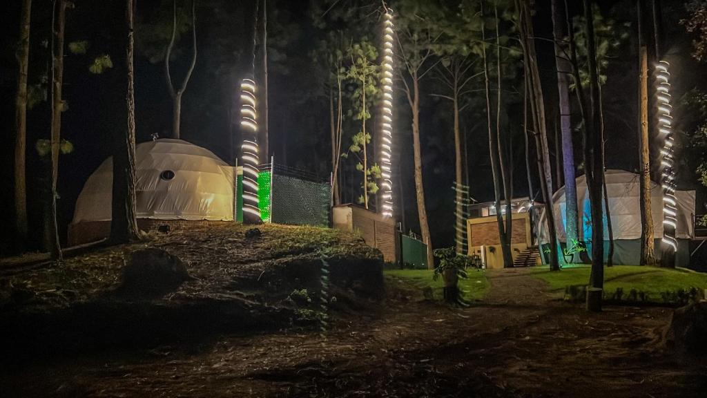 Zahrada ubytování Tres Lunas Domo