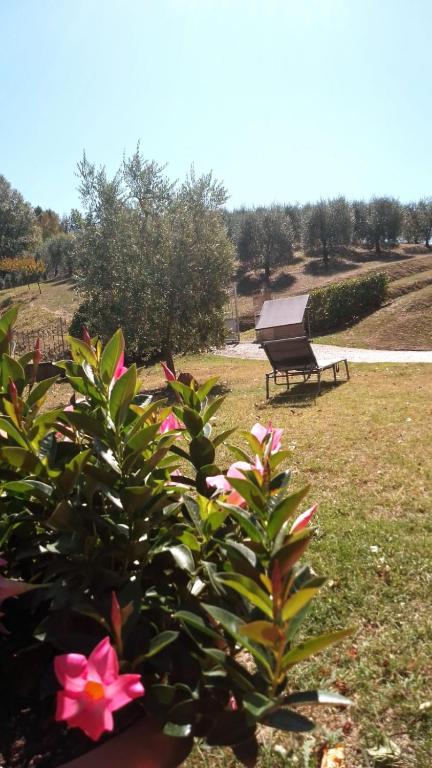 Ogród w obiekcie Camere Montalbano