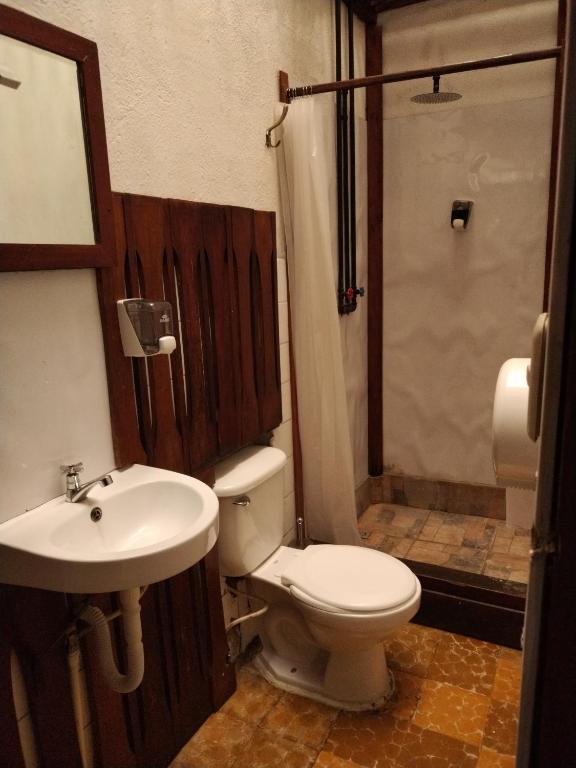 Hotel Casa Chapultepec - Habitación Gemela Estándar