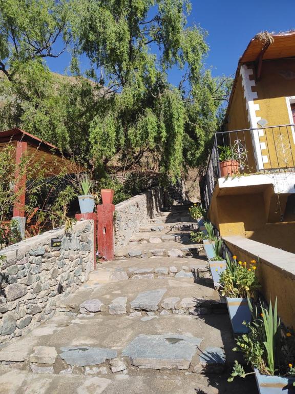 POSADITA LOS ALAMOS Alojamiento de montaña estamos en San Isidro a 8km pasando Iruya lea atentamente