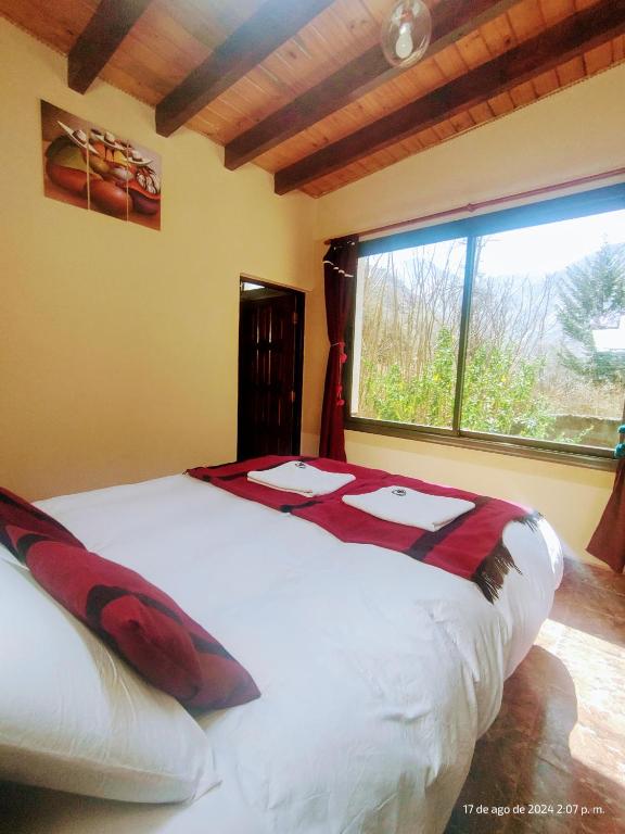 POSADITA LOS ALAMOS Alojamiento de montaña estamos en San Isidro a 8km pasando Iruya lea atentamente