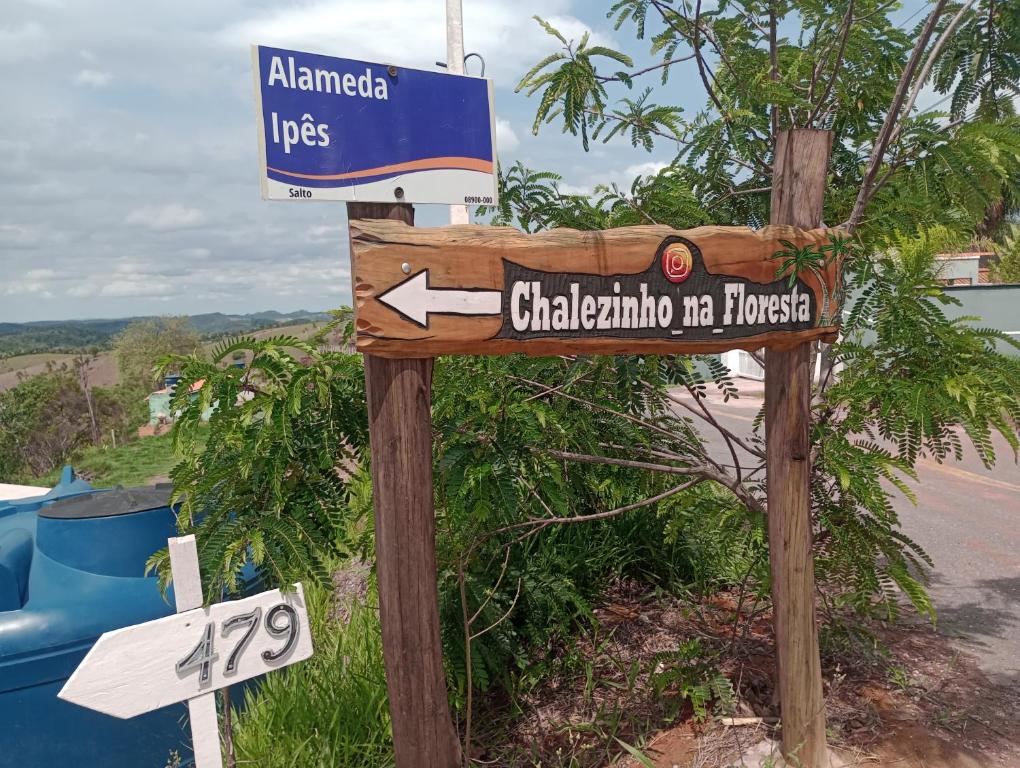 Příroda nedaleko chaty