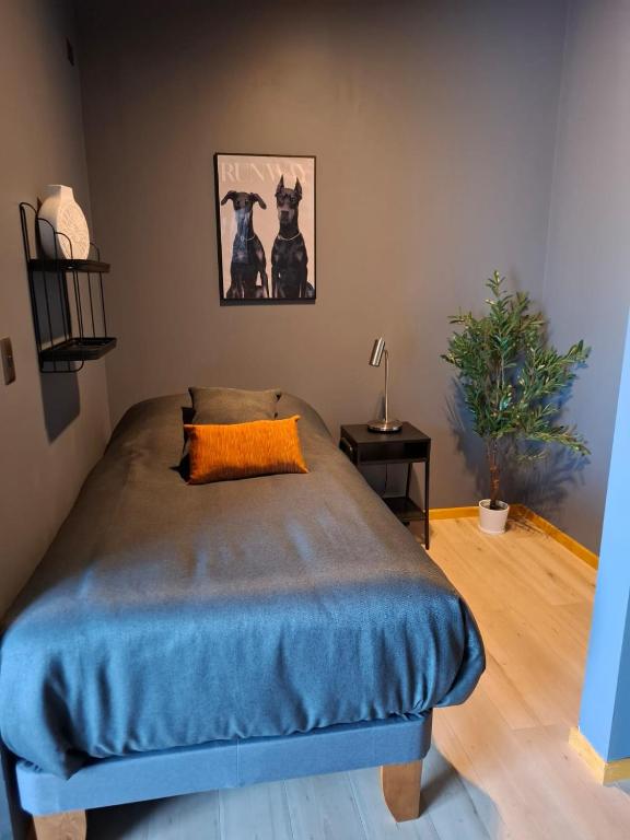 Postel nebo postele na pokoji v ubytování Hotel Boutique 501