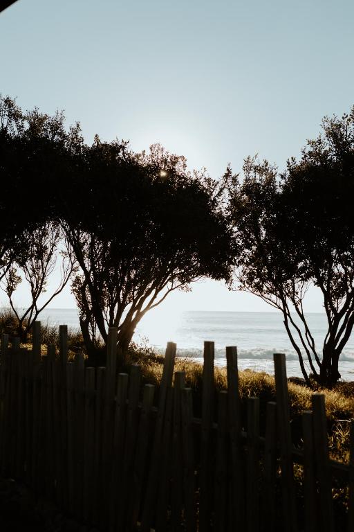 Te Whaanga Retreat & Spa - Resim 24