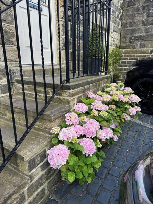 Zahrada ubytování Ilkley Garden Suite