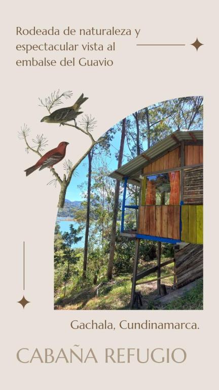 a picture of a bird on a tree at CABAÑA REFUGIO Rodeada de naturaleza y espectacular vista al embalse del Guavio in Las Lagunas