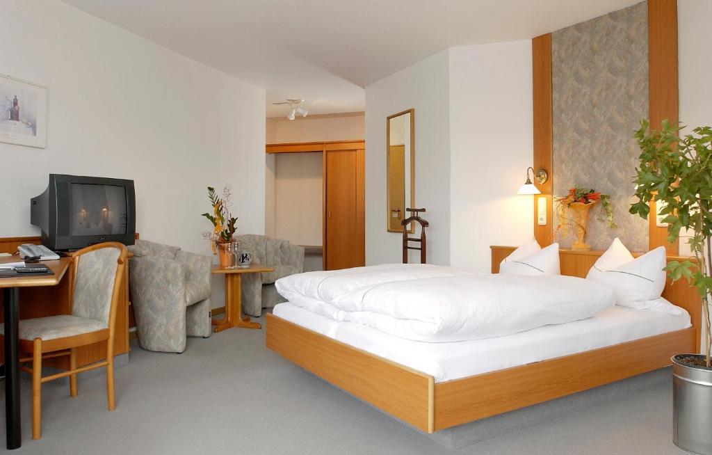 a bedroom with a bed and a desk and a television at Hotel Rossner in Münchberg
