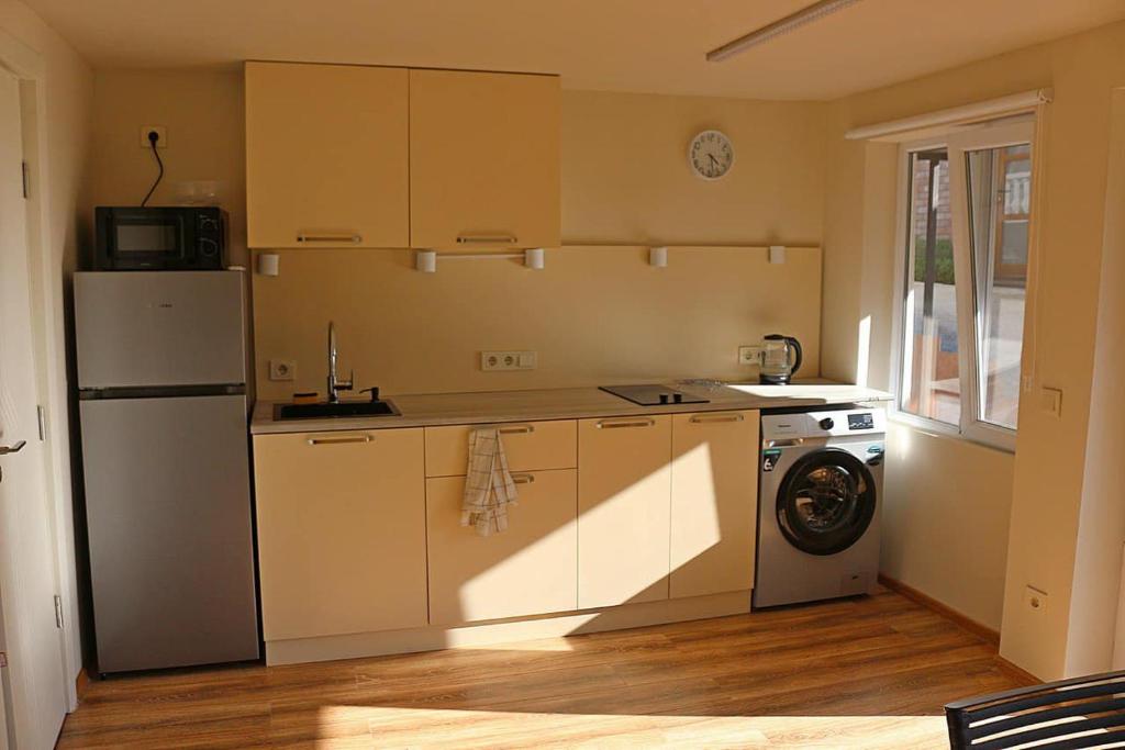 Η κουζίνα ή μικρή κουζίνα στο Green Zyland Apartment