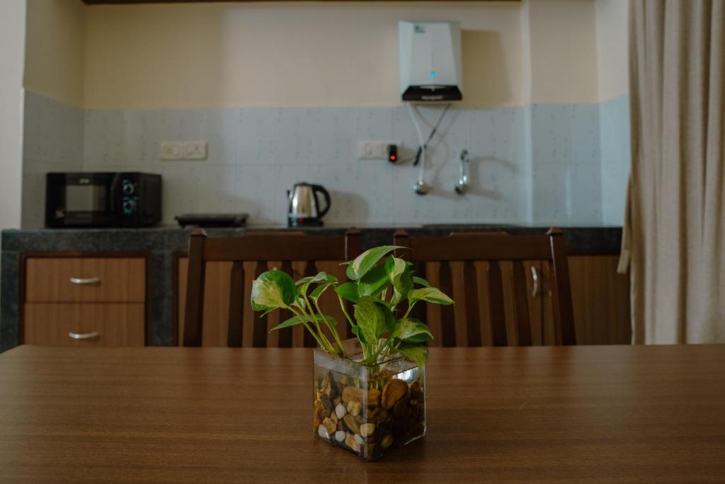Фотография из галереи Sapana Meadows by Nanu Resorts 1BHK & 2 BHK Apartments в городе Salcete