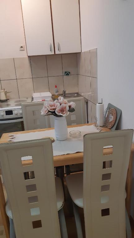 Kuchyň nebo kuchyňský kout v ubytování Sirmijum Hause
