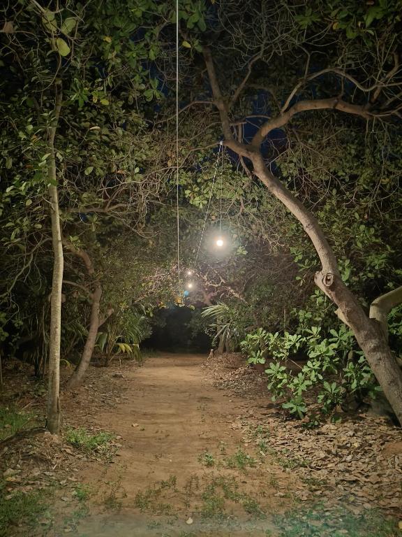 Φωτογραφία από το άλμπουμ του Portal σε Auroville