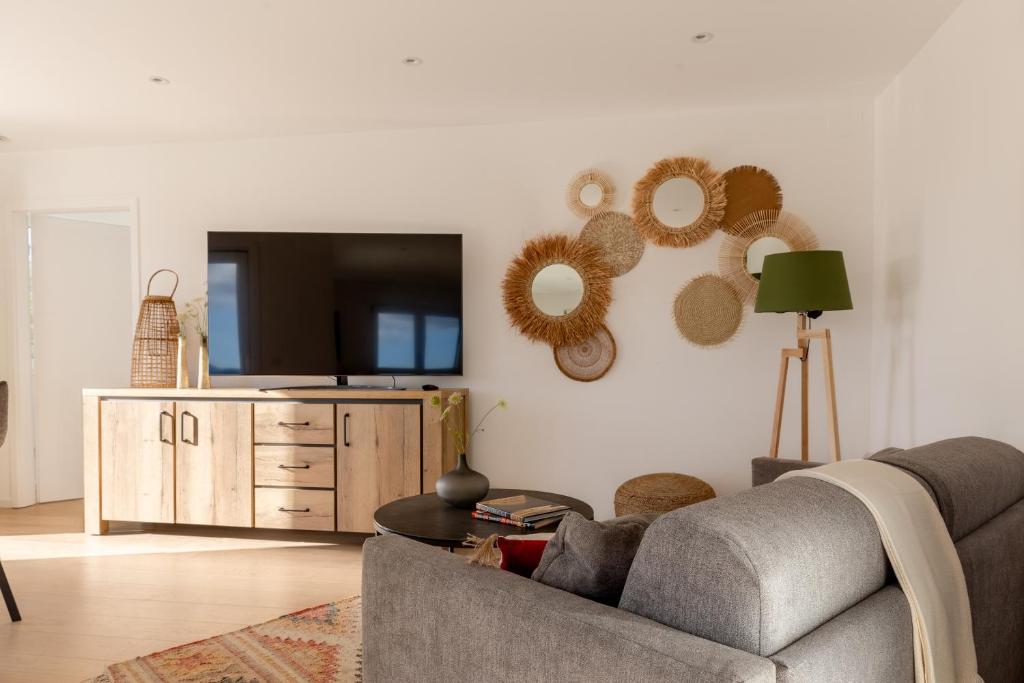 TV a/nebo společenská místnost v ubytování Appartements du comte de Dabo