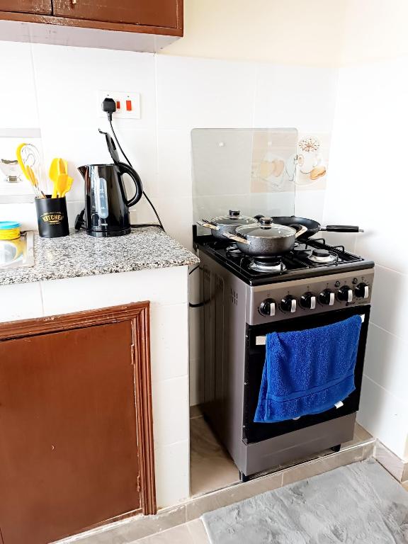 Kuchyň nebo kuchyňský kout v ubytování Nyanchy Homes
