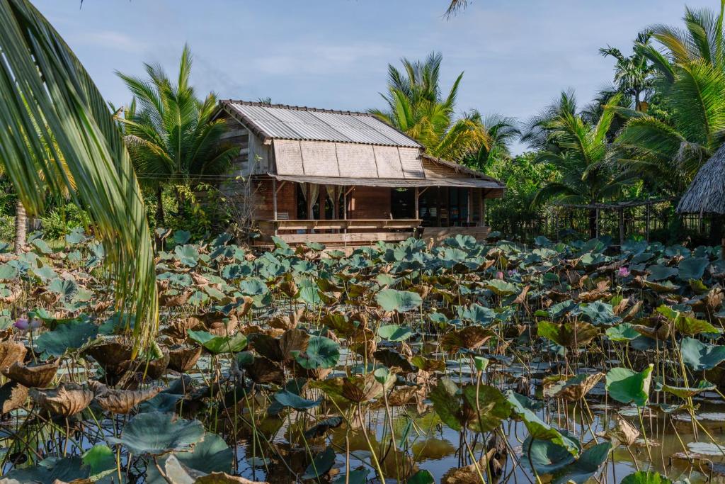 Zahrada ubytování Xóm Sình Homestay & Farmstay Buôn Ma Thuột ĐakLak