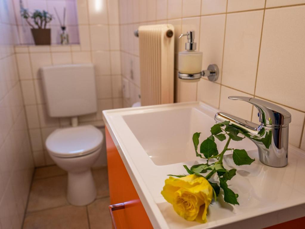 Koupelna v ubytování Ferienwohnung Dietsche Todtnau