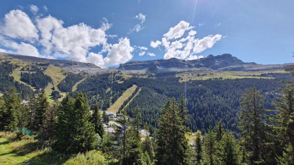 a view of a valley with trees and mountains at Residence les Pleiades in Flaine