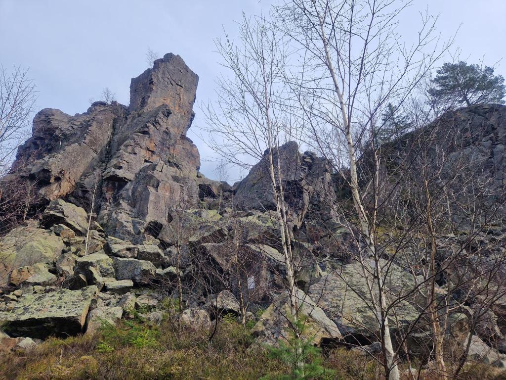 Příroda nedaleko apartmánu