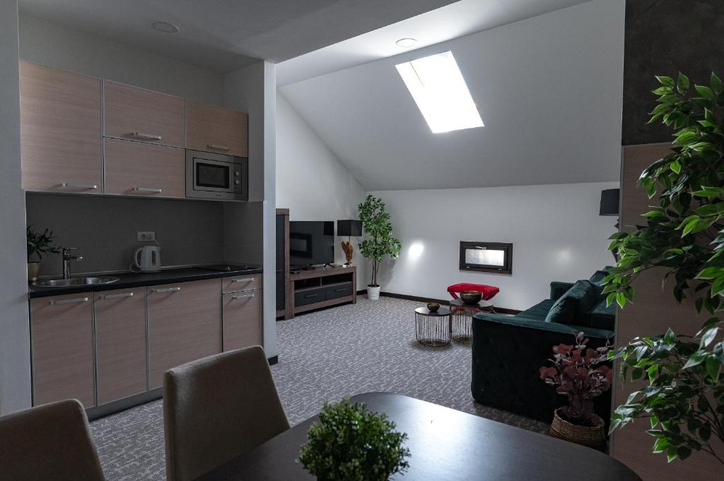 Kuchyň nebo kuchyňský kout v ubytování Apartmani Astral
