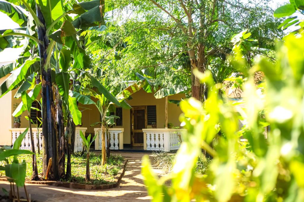 Zahrada ubytování Kiwavi Home