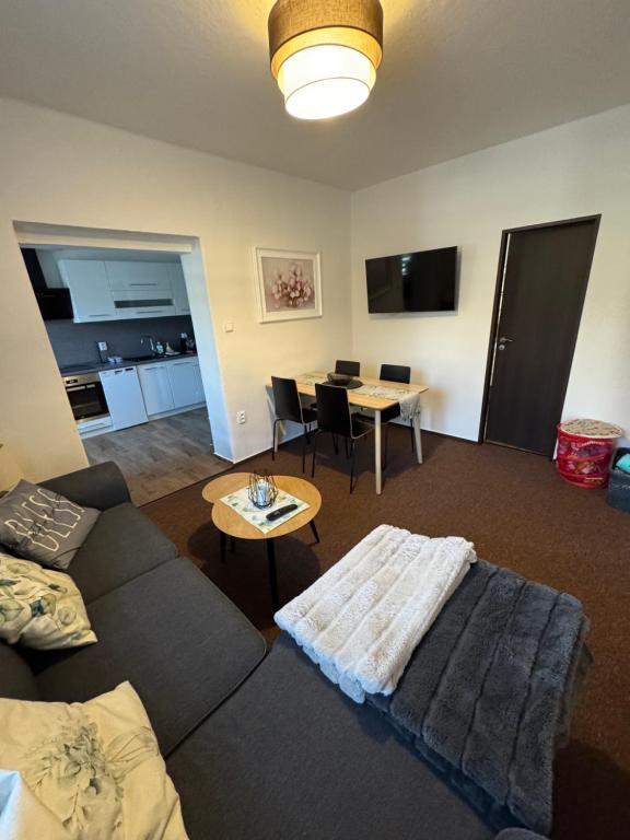 TV a/nebo společenská místnost v ubytování Apartmán 85