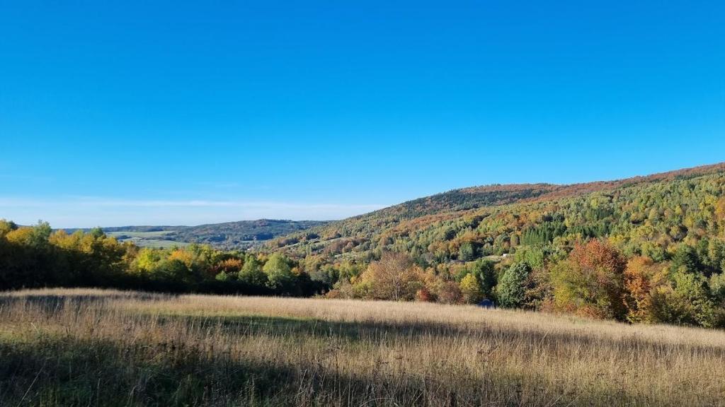 Marzeniec w Beskidzie Niskim - Duplex Studio