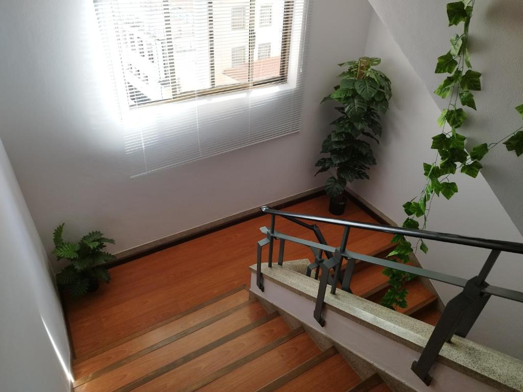 Alojamento Central II - Resim 25