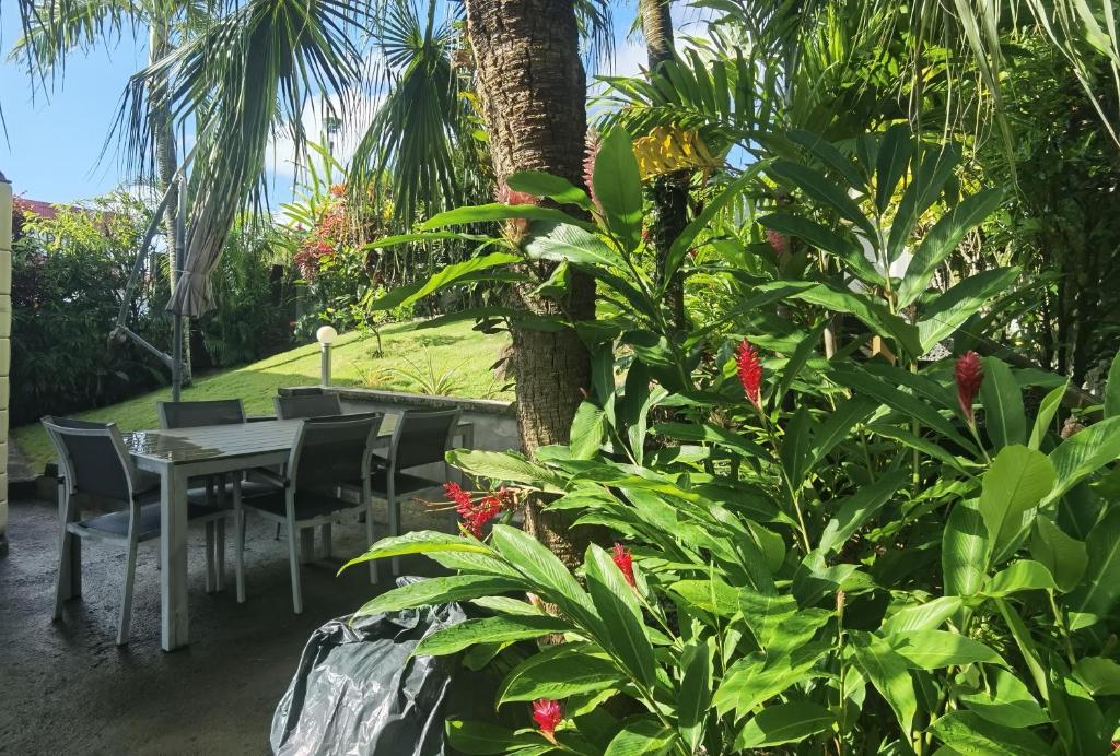 Zahrada ubytování Le Colibri d'isa