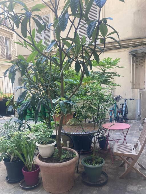 un groupe de plantes en pot, une table et une chaise dans l'établissement Appart charmant à Montmartre, à Paris