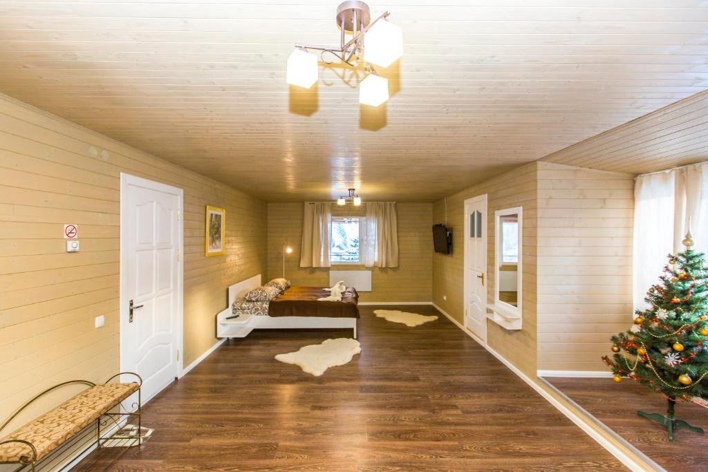 ヤレムチャにあるApartments Kamyanitsaのリビングルーム(クリスマスツリー付)