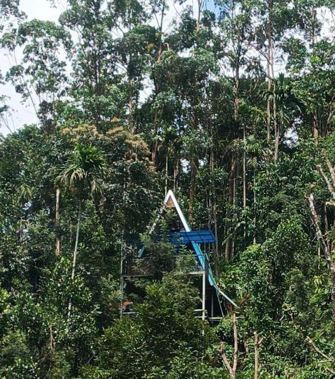 Zahrada ubytování Nest In Mist Munnar Service Villa