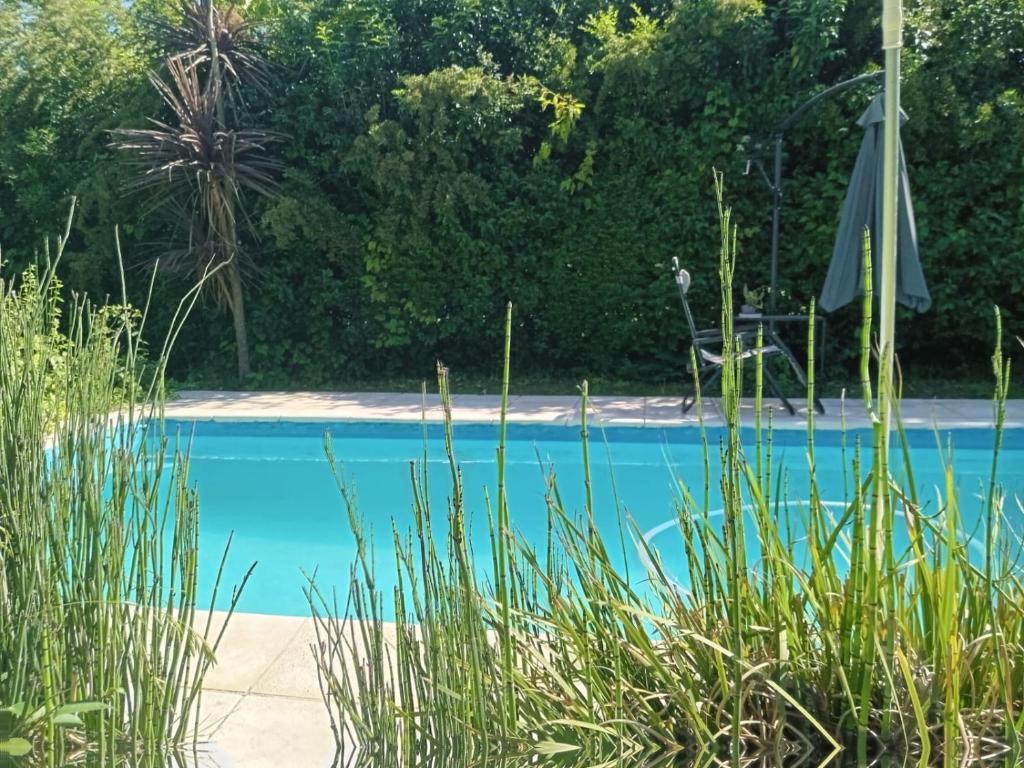 Loft Verde que te quiero Verde