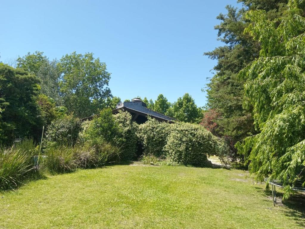 Loft Verde que te quiero Verde