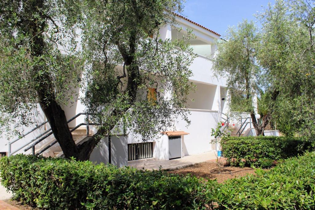 Hotel Palme Gemelle - 9