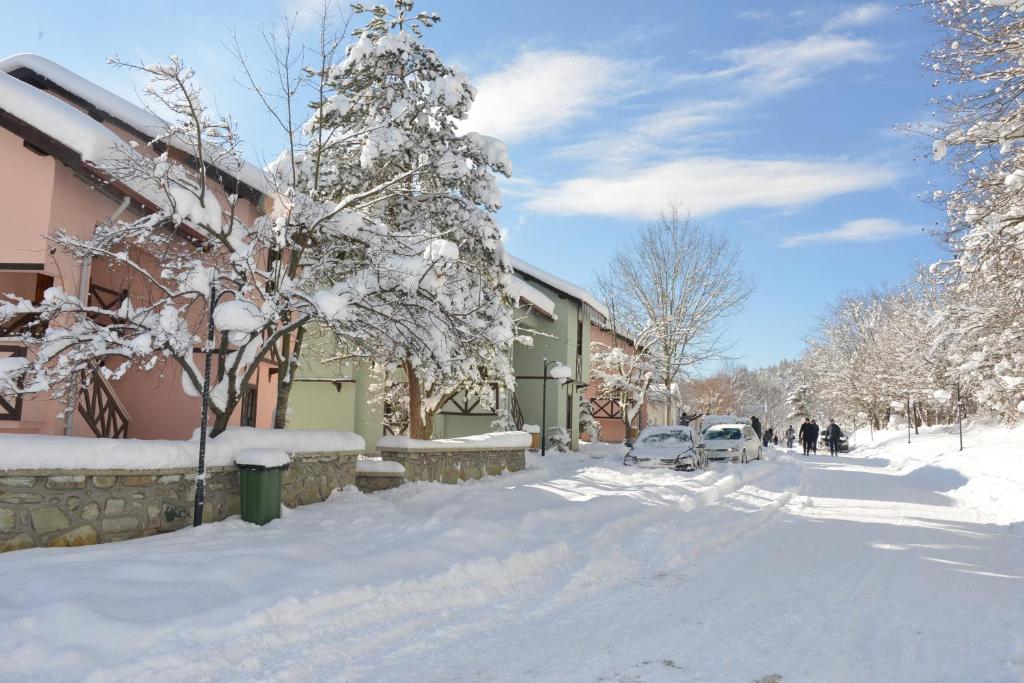 uma rua coberta de neve com uma casa e uma árvore de Natal em VONRESORT Abant em Dereceören
