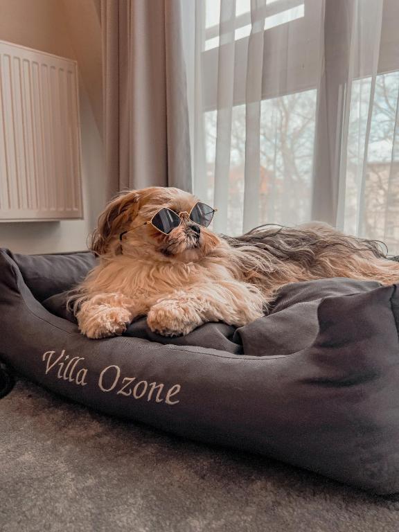 Villa Ozone - Resim 21