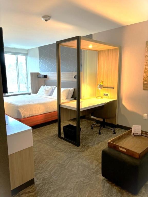 SpringHill Suites by Marriott Hampton Portsmouth - King Suite Con Sofá Cama
