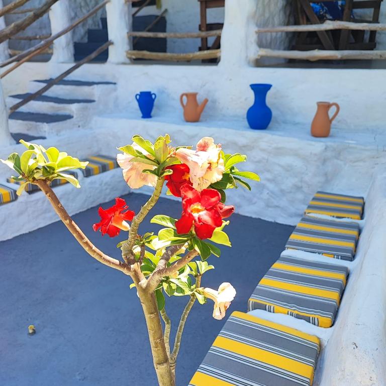 Pousada Villa Kalani - Vierpersoonskamer