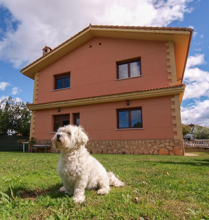 和主人一起入住Villa María.的宠物