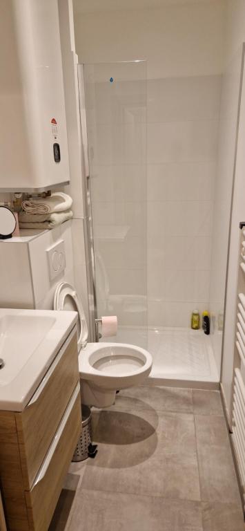une salle de bain blanche avec toilettes et douche dans l'établissement Ville nice, à Nice