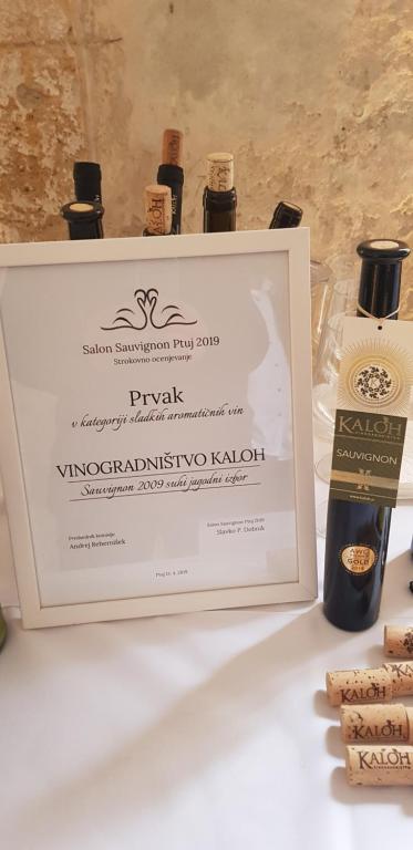 Fotografie z fotogalerie ubytování Wine House Kaloh v Mariboru