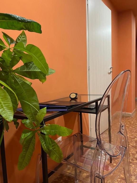 BAM BAM TIBURTINA Guesthouse - 16